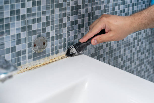 Best Mold Damage Repair  in Piedmont, AL